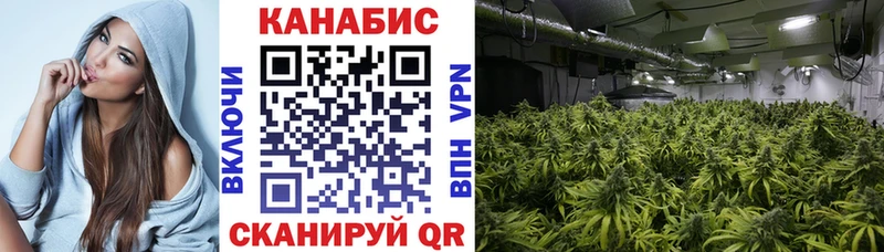 Где купить наркоту Мышкин Канабис  Меф мяу мяу  ГАШ 