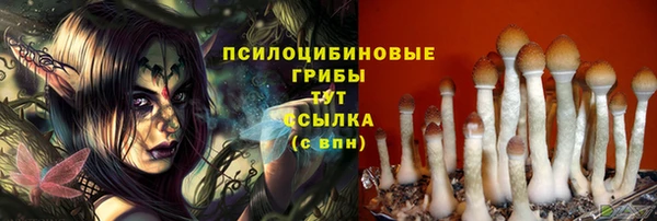 герыч Арсеньев